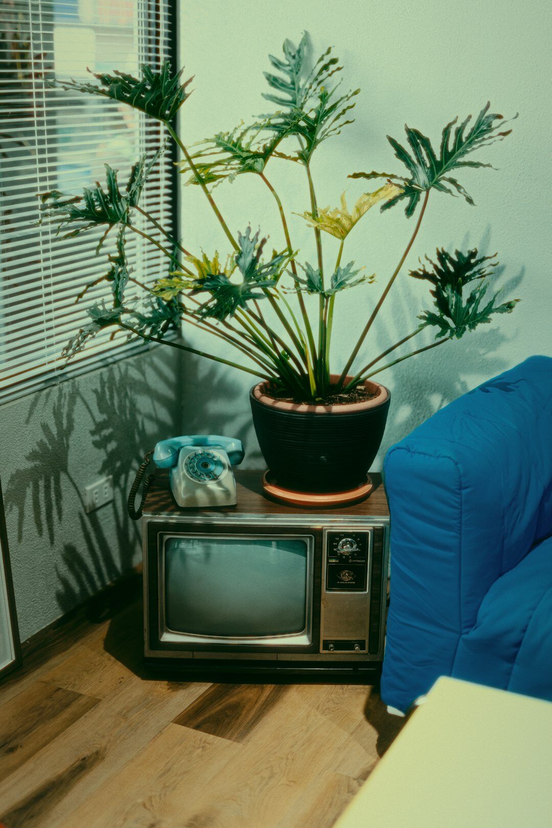 colorful vintage television