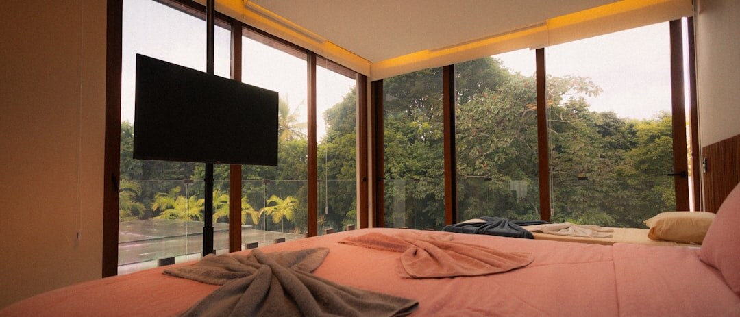 modern flat screen tv
